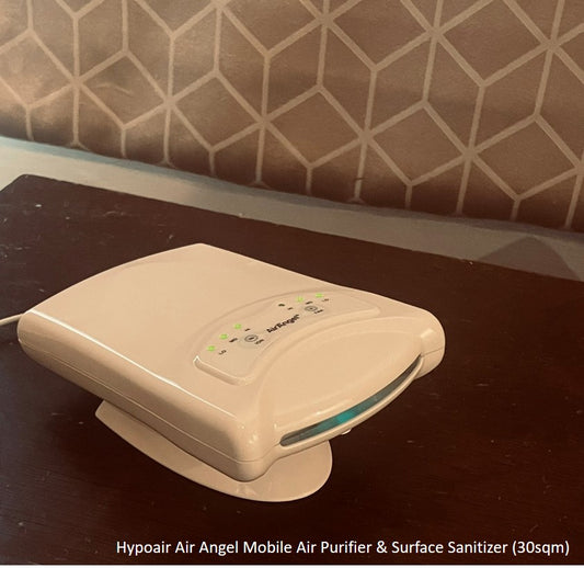 Do air purifiers help with bad smells?