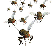 Flying Insect Control with ILTs