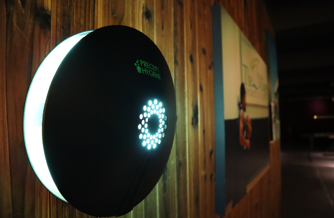 Pelsis Aura Decorative Glueboard Insect Killer for Dining Area (Black)