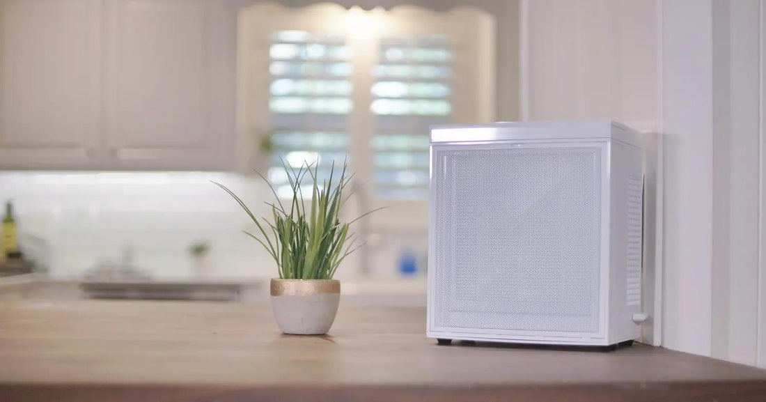 Which Air Purifier is Right For You?