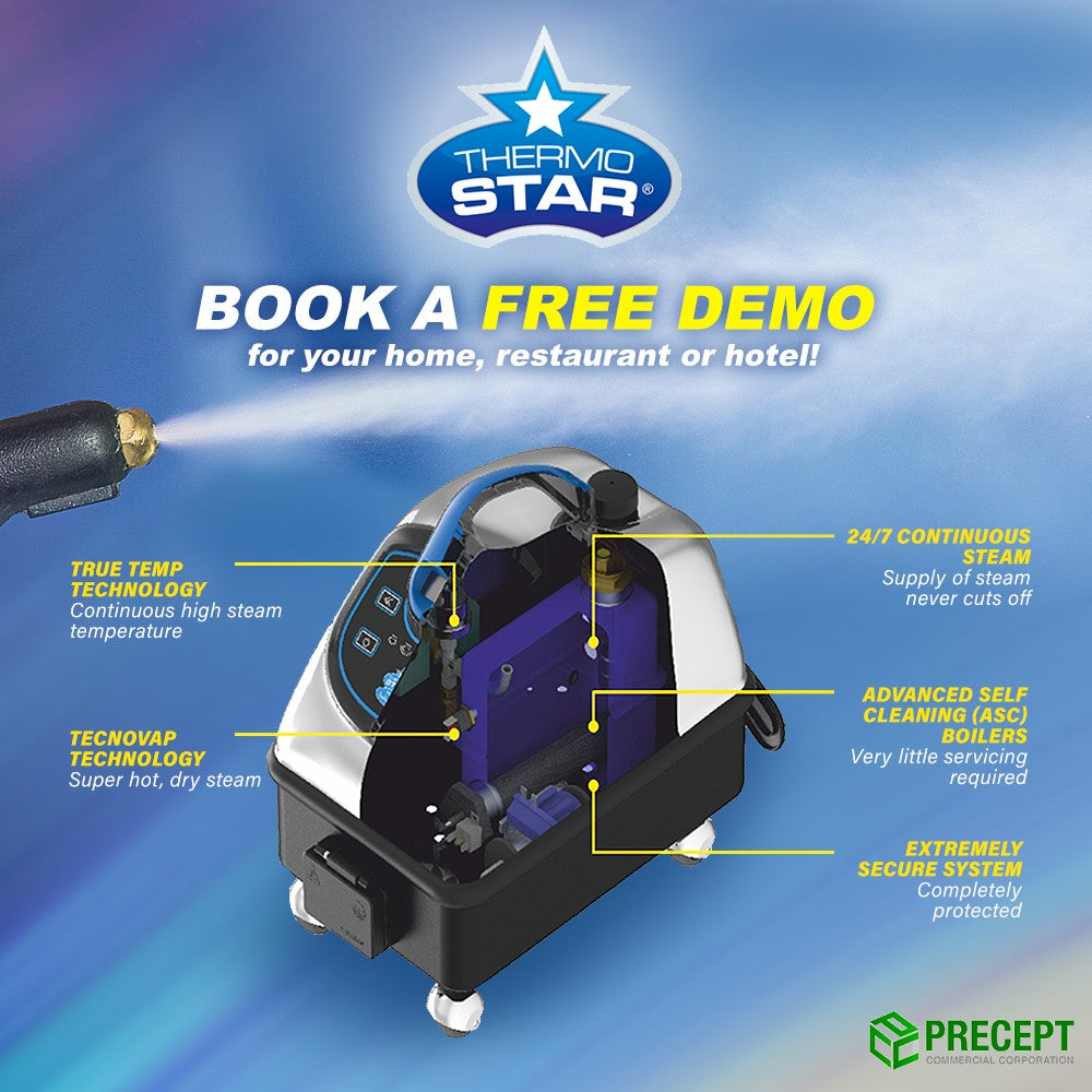 Thermostar Dry Steam Cleaner